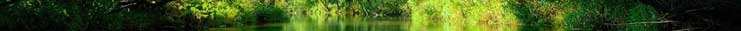 groene omgeving